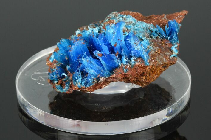 Vibrant Blue Chalcanthite - Planet Mine, Arizona #175323